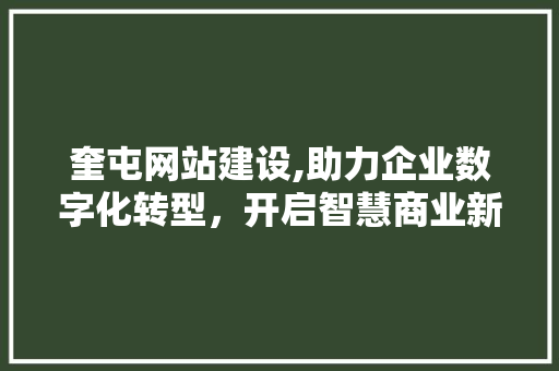 奎屯网站建设,助力企业数字化转型，开启智慧商业新篇章 头条优化