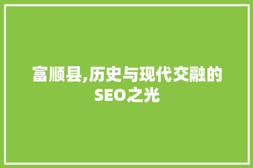 富顺县,历史与现代交融的SEO之光 seo技术