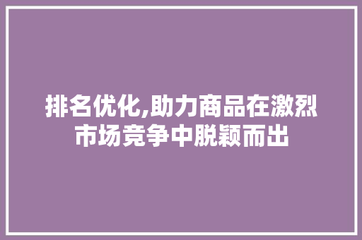 排名优化,助力商品在激烈市场竞争中脱颖而出