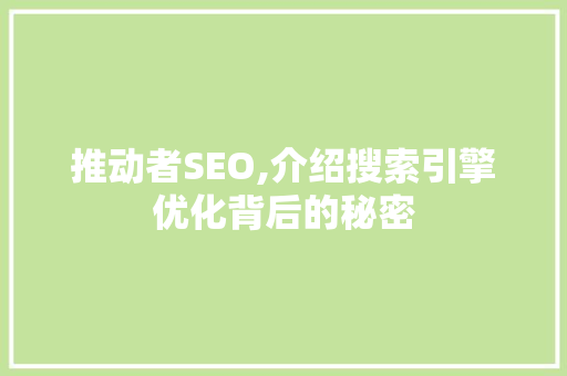 推动者SEO,介绍搜索引擎优化背后的秘密 seo技术