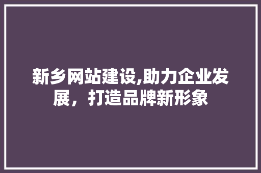 新乡网站建设,助力企业发展，打造品牌新形象 网站开发