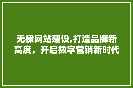 无棣网站建设,打造品牌新高度，开启数字营销新时代