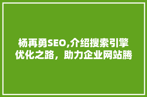 杨再勇SEO,介绍搜索引擎优化之路，助力企业网站腾飞