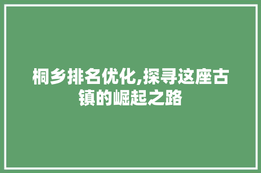 桐乡排名优化,探寻这座古镇的崛起之路