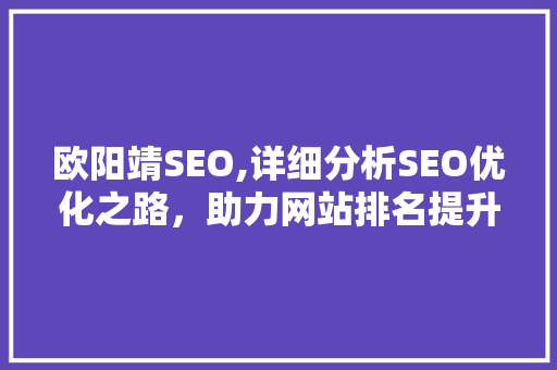 欧阳靖SEO,详细分析SEO优化之路，助力网站排名提升
