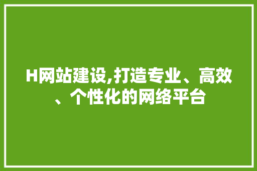 H网站建设,打造专业、高效、个性化的网络平台 seo技术