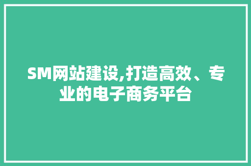 SM网站建设,打造高效、专业的电子商务平台 网站开发