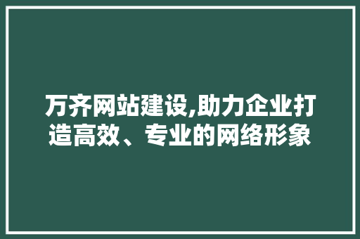 万齐网站建设,助力企业打造高效、专业的网络形象 网站优化