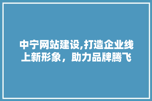 中宁网站建设,打造企业线上新形象，助力品牌腾飞 头条优化