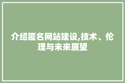 介绍匿名网站建设,技术、伦理与未来展望
