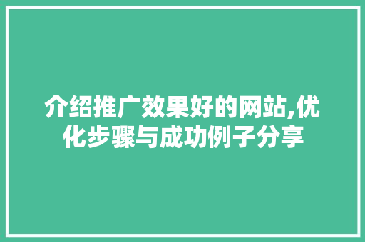 介绍推广效果好的网站,优化步骤与成功例子分享