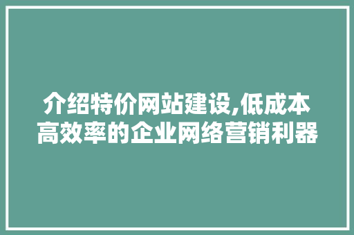 介绍特价网站建设,低成本高效率的企业网络营销利器 小程序开发