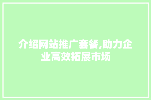 介绍网站推广套餐,助力企业高效拓展市场