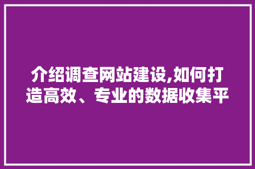 介绍调查网站建设,如何打造高效、专业的数据收集平台 头条优化