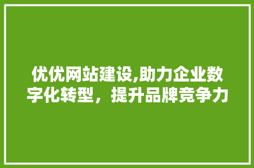 优优网站建设,助力企业数字化转型，提升品牌竞争力 seo技术
