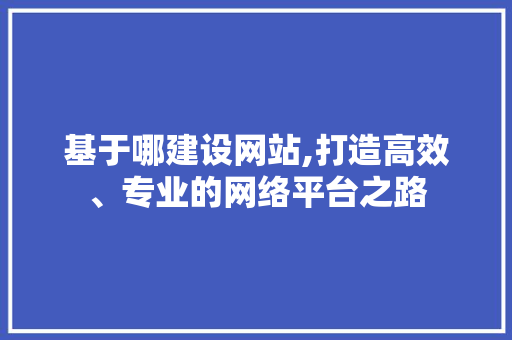 基于哪建设网站,打造高效、专业的网络平台之路