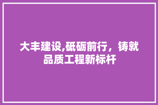 大丰建设,砥砺前行，铸就品质工程新标杆 AI技术学习