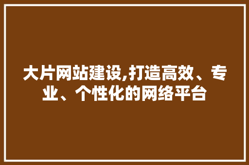 大片网站建设,打造高效、专业、个性化的网络平台