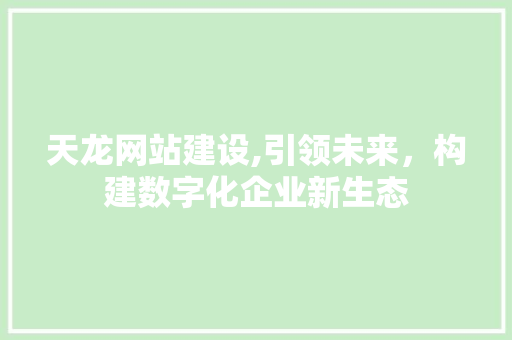 天龙网站建设,引领未来，构建数字化企业新生态 百度算法