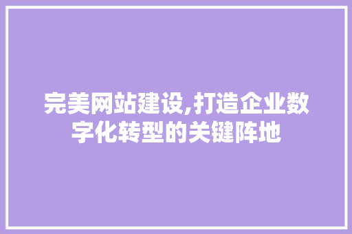完美网站建设,打造企业数字化转型的关键阵地