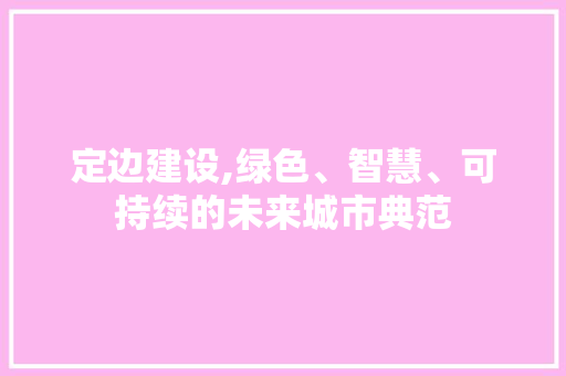 定边建设,绿色、智慧、可持续的未来城市典范