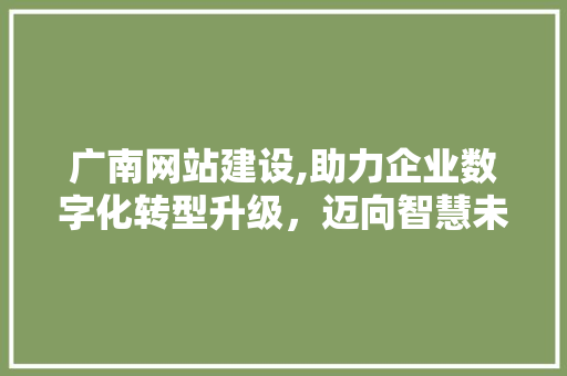 广南网站建设,助力企业数字化转型升级，迈向智慧未来
