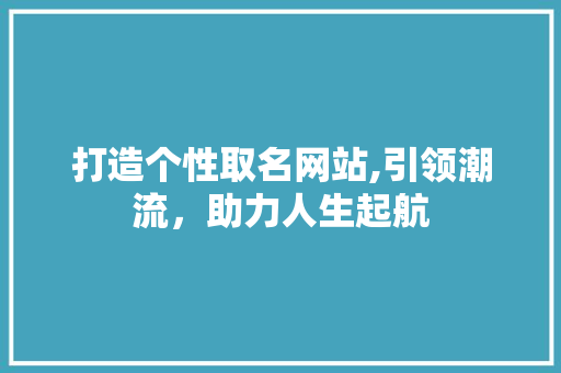 打造个性取名网站,引领潮流，助力人生起航 网站优化