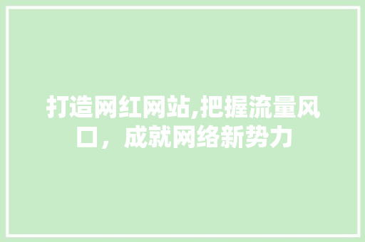 打造网红网站,把握流量风口，成就网络新势力 小程序开发