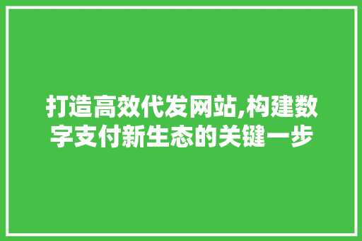 打造高效代发网站,构建数字支付新生态的关键一步