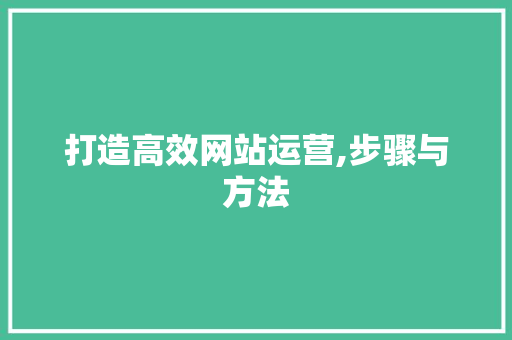 打造高效网站运营,步骤与方法