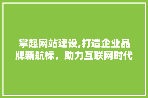 掌起网站建设,打造企业品牌新航标，助力互联网时代腾飞 网站优化
