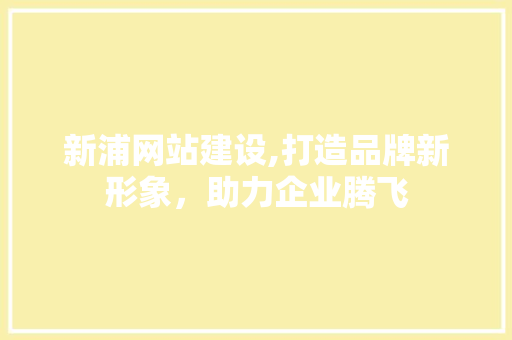 新浦网站建设,打造品牌新形象，助力企业腾飞
