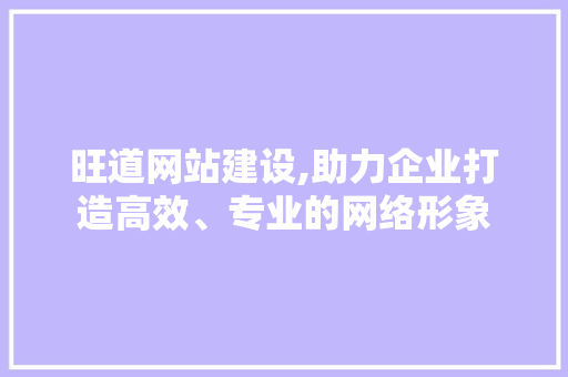 旺道网站建设,助力企业打造高效、专业的网络形象 360搜优化