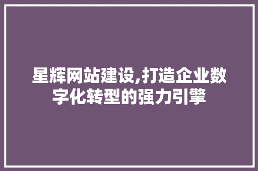 星辉网站建设,打造企业数字化转型的强力引擎 英文谷歌算法
