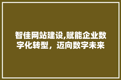 智佳网站建设,赋能企业数字化转型，迈向数字未来 搜狗优化