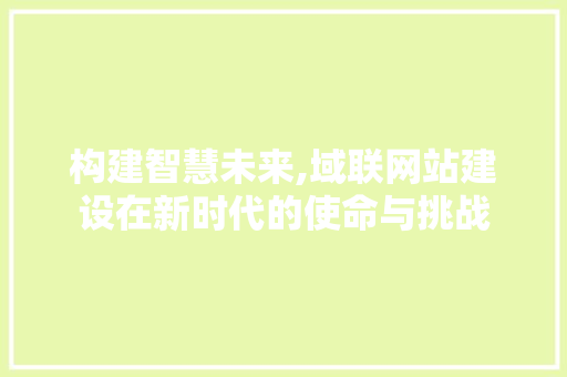 构建智慧未来,域联网站建设在新时代的使命与挑战