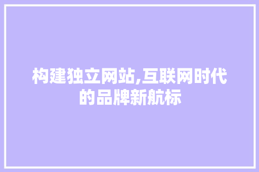 构建独立网站,互联网时代的品牌新航标 网站开发