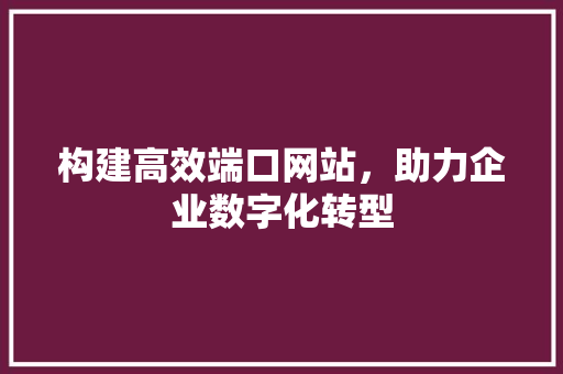 构建高效端口网站，助力企业数字化转型