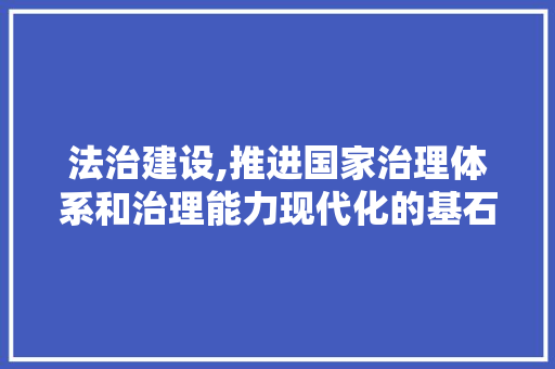 法治建设,推进国家治理体系和治理能力现代化的基石
