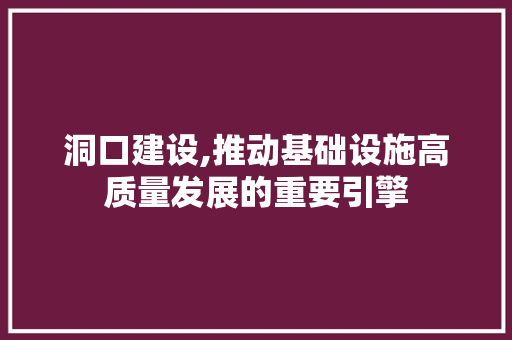 洞口建设,推动基础设施高质量发展的重要引擎