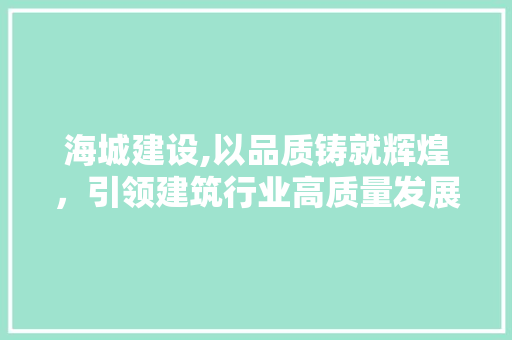 海城建设,以品质铸就辉煌，引领建筑行业高质量发展 网站开发