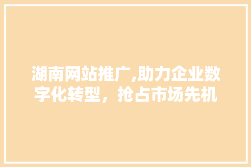 湖南网站推广,助力企业数字化转型，抢占市场先机