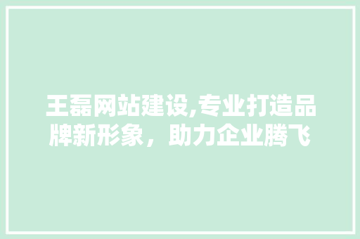 王磊网站建设,专业打造品牌新形象，助力企业腾飞 网站优化