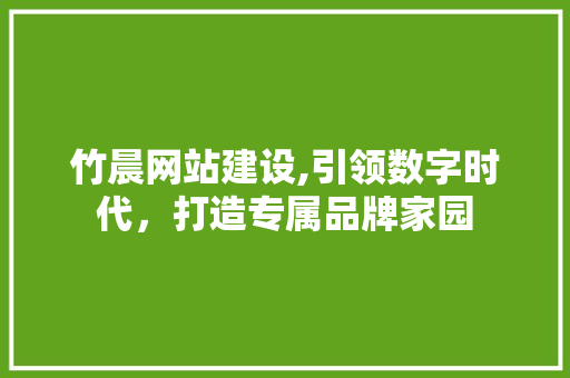 竹晨网站建设,引领数字时代，打造专属品牌家园 英文谷歌算法