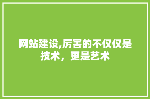网站建设,厉害的不仅仅是技术，更是艺术
