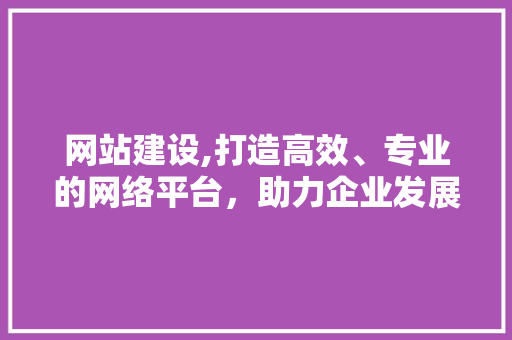 网站建设,打造高效、专业的网络平台，助力企业发展新篇章 360搜优化