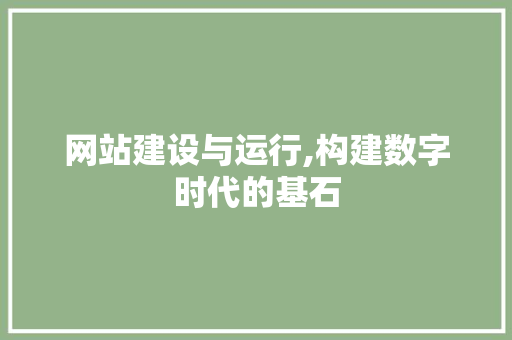 网站建设与运行,构建数字时代的基石
