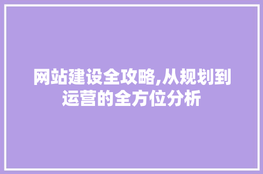 网站建设全攻略,从规划到运营的全方位分析 网站开发