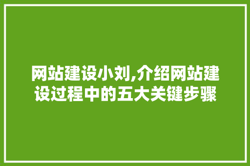 网站建设小刘,介绍网站建设过程中的五大关键步骤