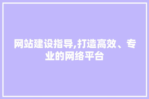 网站建设指导,打造高效、专业的网络平台